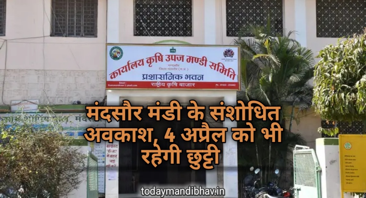 मंदसौर मंडी अवकाश : अवकाश मे फिर हुआ फेरबदल, 4 अप्रैल को भी बंद रहेगी मंडी