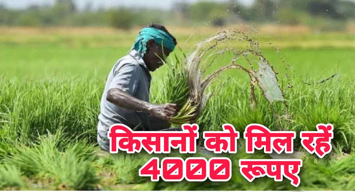 New Yojana: सरकार किसानों के खाते में डाल रही ₹4000, किसान तुरंत लाभ उठाने के लिए करें यह काम